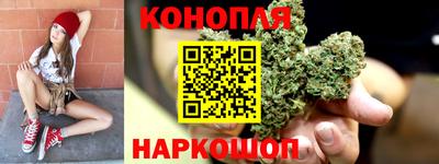 стафф Обь