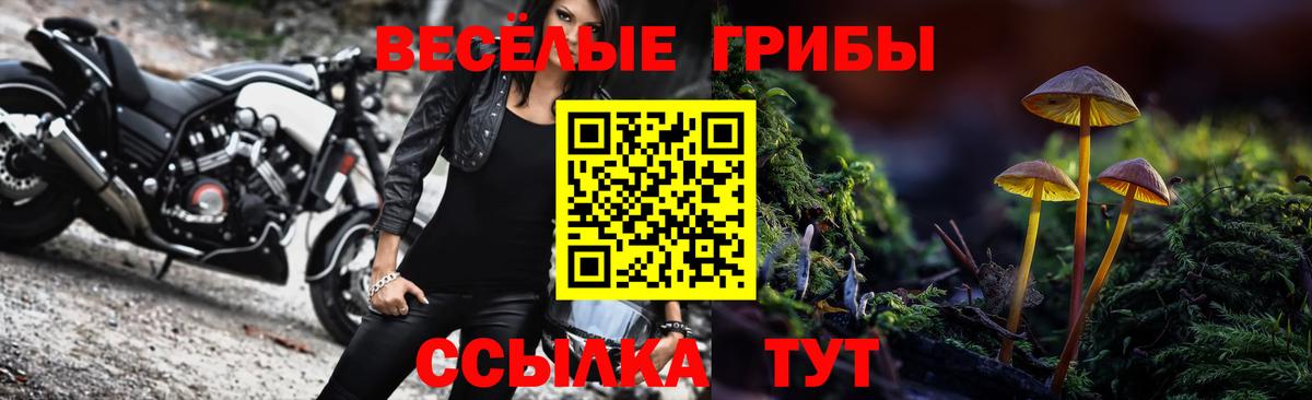 Галлюциногенные грибы GOLDEN TEACHER  Вход с VPN  Серов  Галлюциногенные грибы Magic Shrooms 